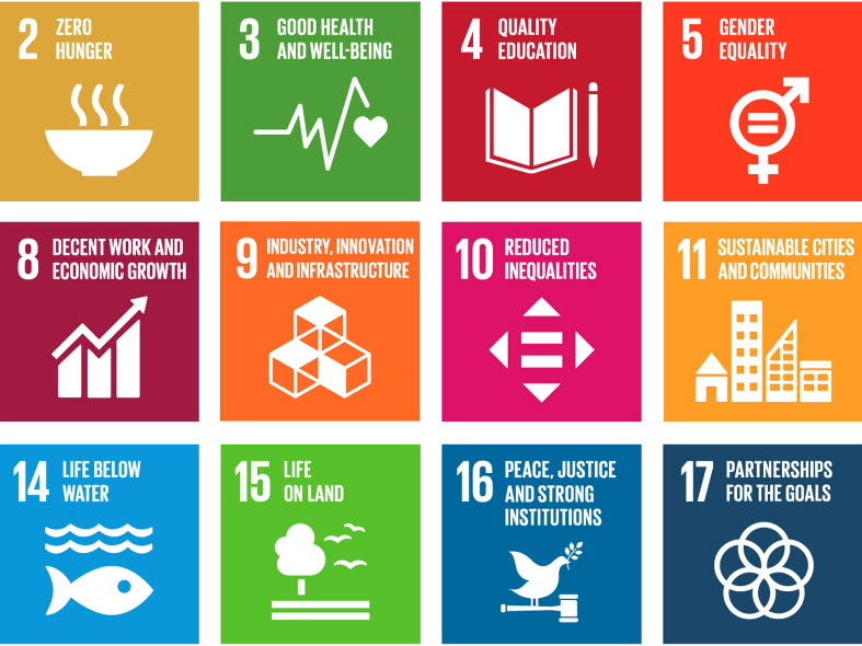 Image of The Global Goals.
